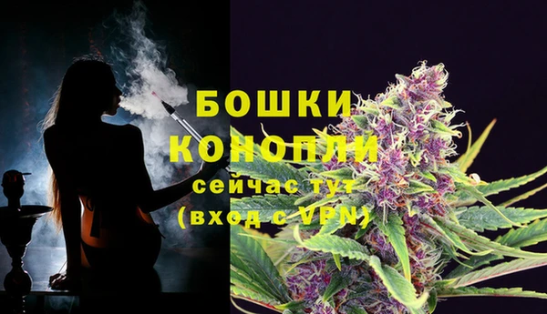 мескалин Богданович