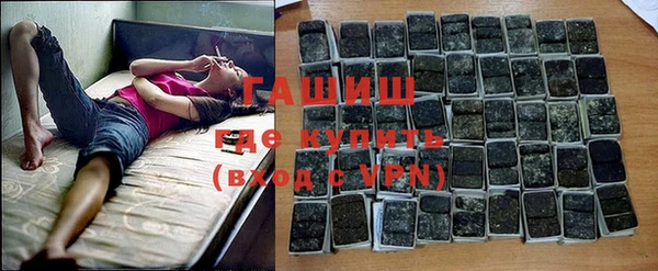прущие грибы Бородино