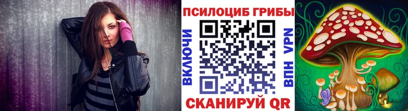 дарнет шоп  Белый  Галлюциногенные грибы мицелий 